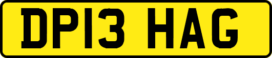 DP13HAG