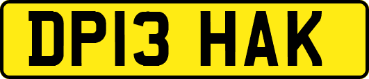 DP13HAK