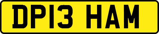 DP13HAM