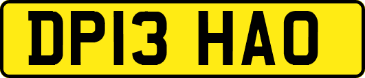 DP13HAO