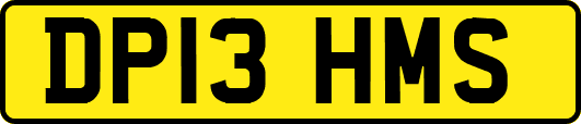 DP13HMS