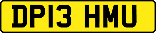 DP13HMU