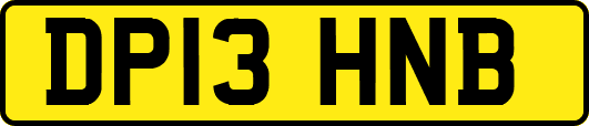 DP13HNB