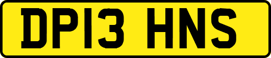 DP13HNS