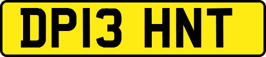 DP13HNT