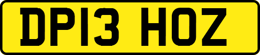 DP13HOZ