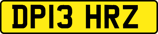 DP13HRZ