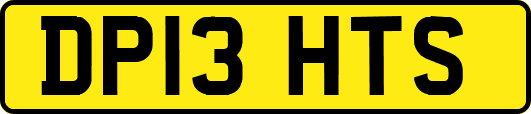 DP13HTS