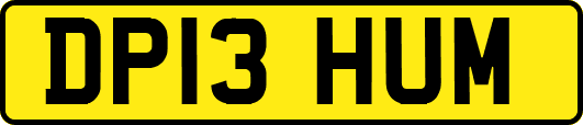 DP13HUM