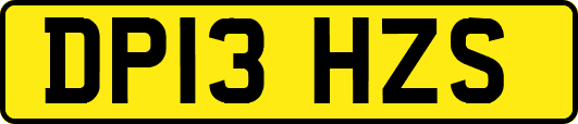 DP13HZS