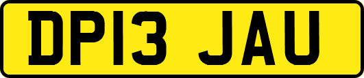 DP13JAU