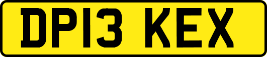 DP13KEX