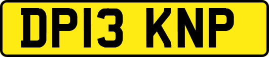 DP13KNP