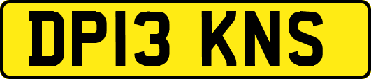 DP13KNS