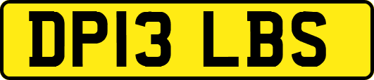 DP13LBS