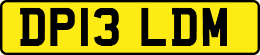DP13LDM