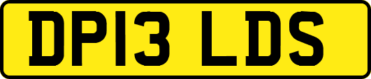 DP13LDS