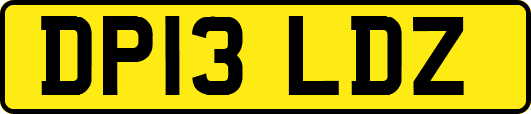 DP13LDZ