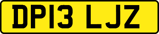 DP13LJZ