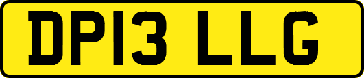 DP13LLG