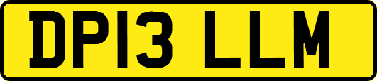 DP13LLM