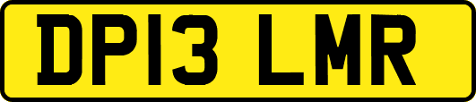 DP13LMR