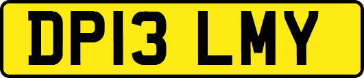 DP13LMY