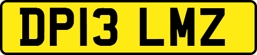 DP13LMZ