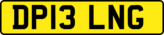 DP13LNG
