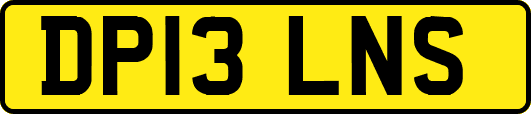 DP13LNS