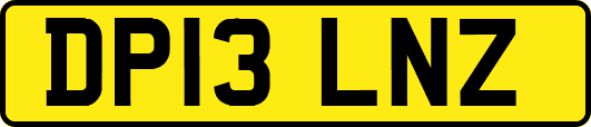 DP13LNZ