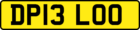 DP13LOO