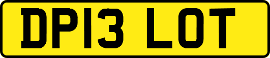 DP13LOT