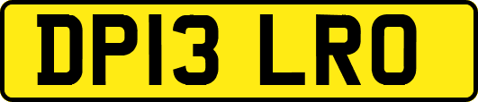 DP13LRO