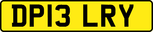 DP13LRY