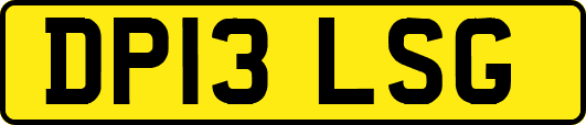 DP13LSG