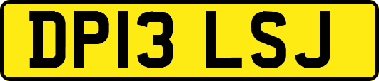 DP13LSJ
