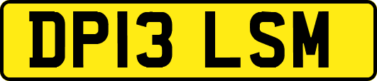 DP13LSM