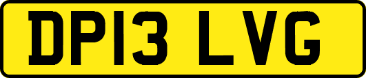 DP13LVG