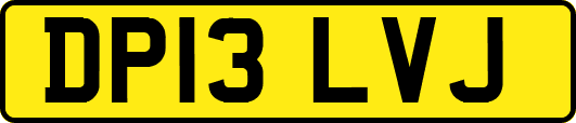 DP13LVJ