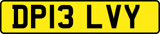 DP13LVY
