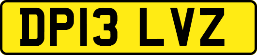 DP13LVZ