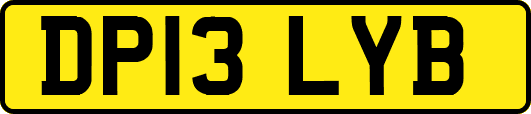 DP13LYB