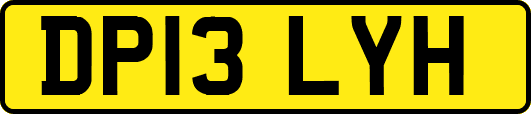 DP13LYH