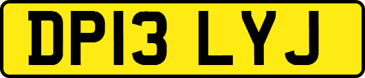 DP13LYJ