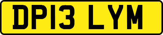 DP13LYM