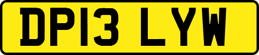 DP13LYW