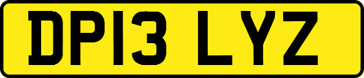 DP13LYZ