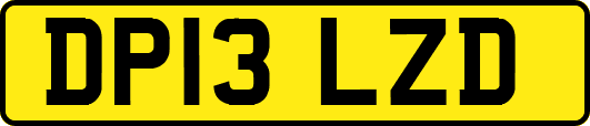 DP13LZD