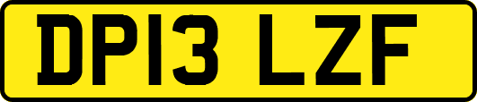 DP13LZF